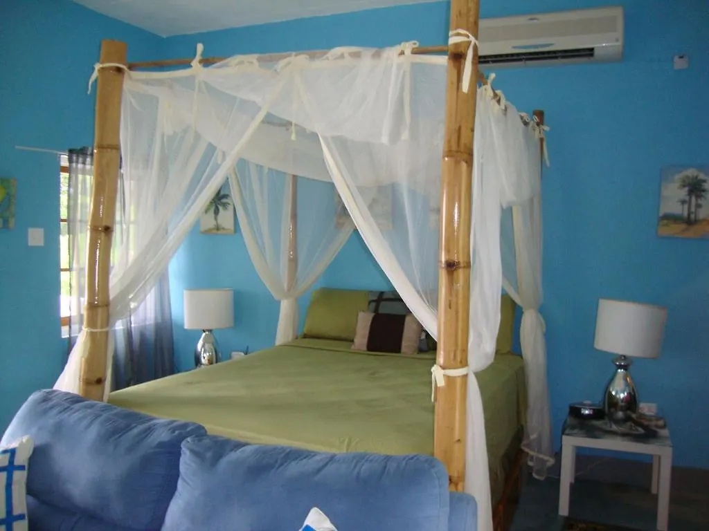 By The Sea Vacation Home And Villa Port Antonio Jamajka